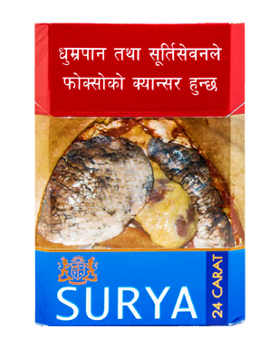 Surya Light Half