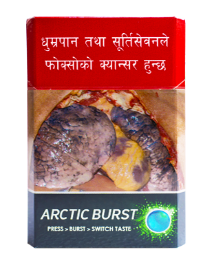 Surya Arctic Burst Per pcs